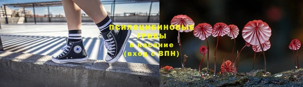 a pvp Алзамай