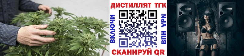 купить закладку  Сасово  ТГК концентрат 